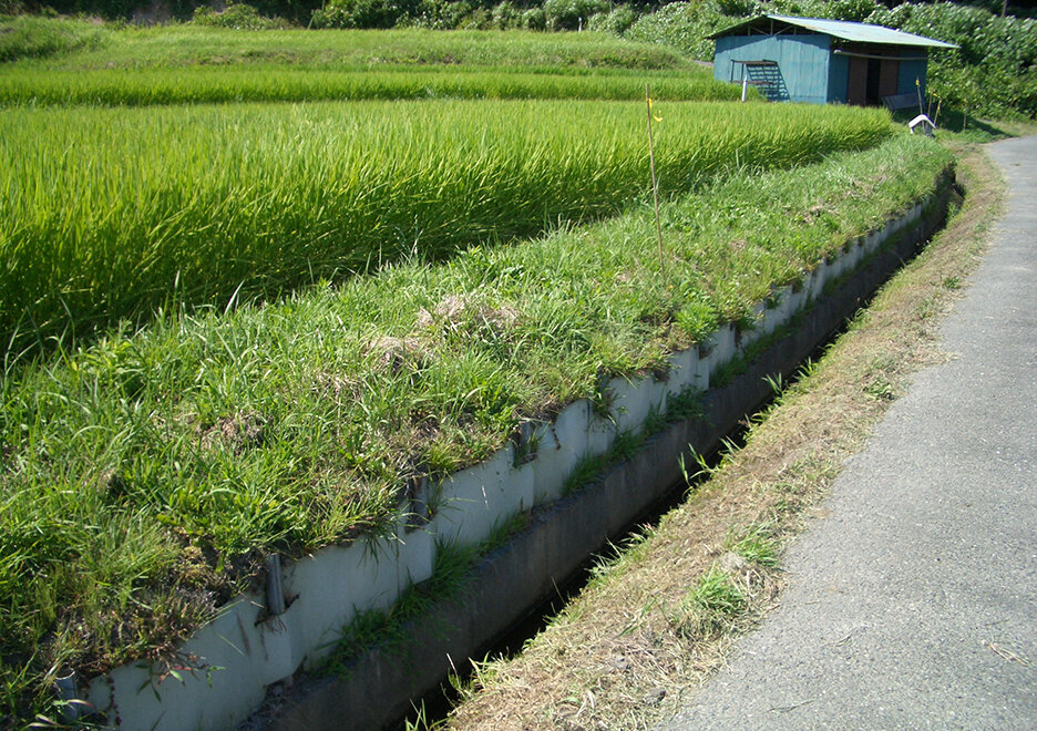 簡易土留