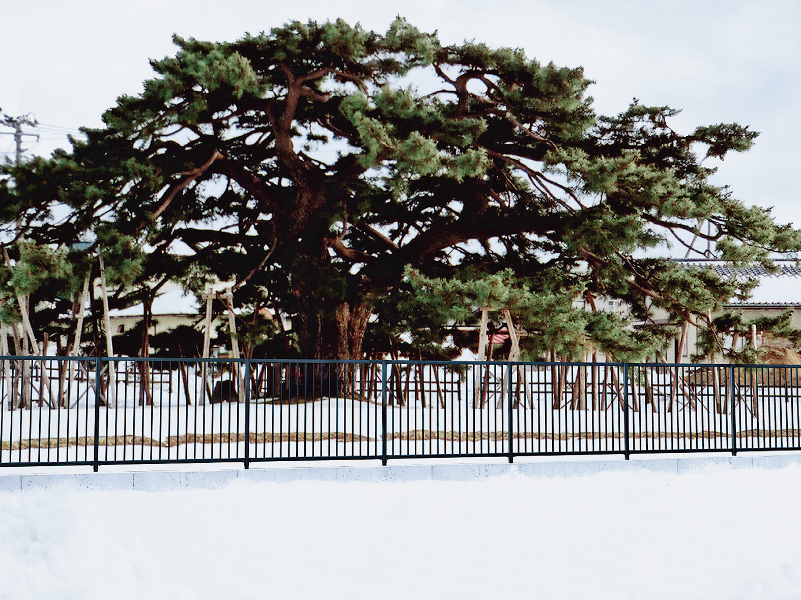 積雪地用フェンスシリーズ